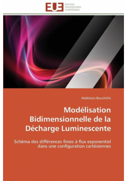 Modélisation bidimensionnelle de la décharge luminescente