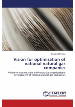 Vision for optimisation of national natural gas companies