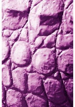 Alive! crocodile skin - Magenta duotone - Photo art notebooks (6 x 9 series)