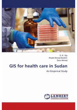 GIS for health care in Sudan