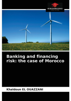 Banking and financing risk