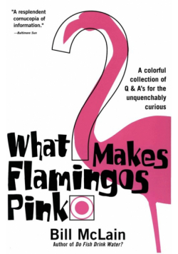 What Makes Flamingos Pink?