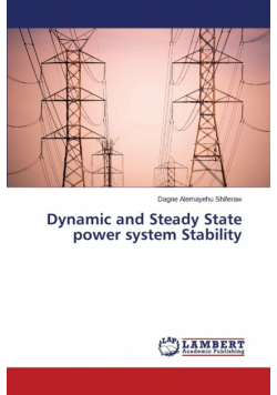 Dynamic and Steady State power system Stability