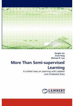 More Than Semi-Supervised Learning