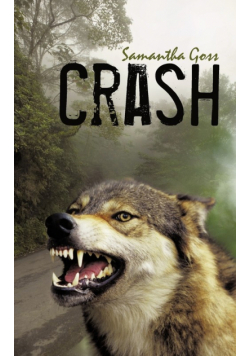 Crash