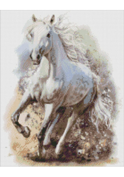 Diamentowa mozaika - Wyrafinowana moc 40x50cm