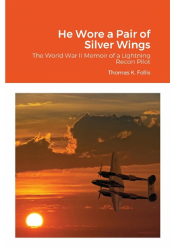 He Wore a Pair of Silver Wings