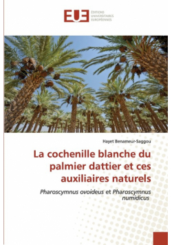La cochenille blanche du palmier dattier et ces auxiliaires naturels