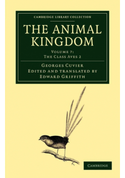 The Animal Kingdom - Volume 7