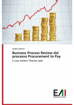 Business Process Review del Processo Procurement to Pay