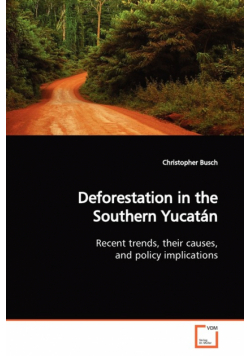 Deforestation in the Southern Yucatán