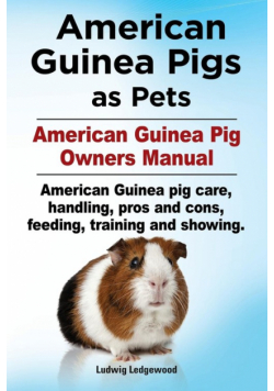 American Guinea Pigs as Pets. American Guinea Pig Owners Manual. American Guinea pig care, handling, pros and cons, feeding, training and showing.
