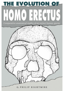 The Evolution of Homo Erectus