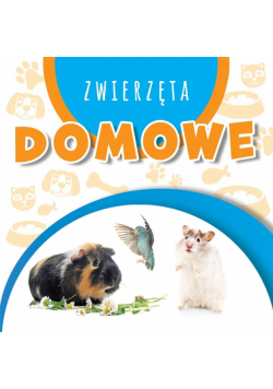 Wstęgi kartonowe. Zwierzęta domowe