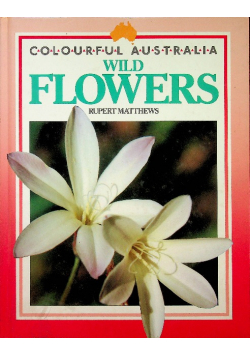 Colourful Australian Wild Flowers