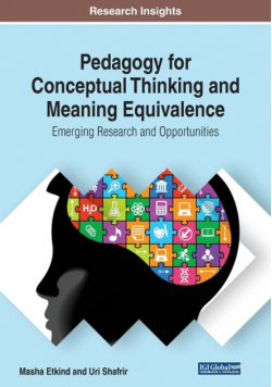 Pedagogy for Conceptual Thinking and Meaning Equivalence