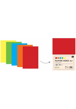Papier xero A4 kolor 100 kartek