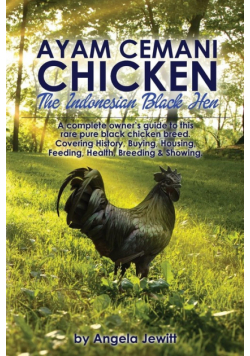 Ayam Cemani Chicken - The Indonesian Black Hen. A complete owner's guide to this rare pure black chicken breed. Covering History, Buying, Housing, Feeding, Health, Breeding & Showing.