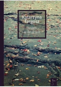 Jesień w Brukseli