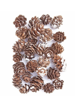 Mini szyszki bielone 25g