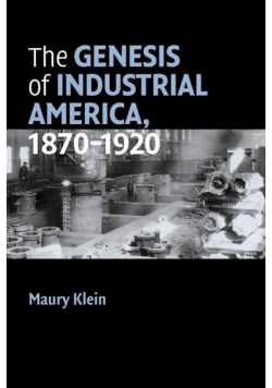 The Genesis of Industrial America, 1870-1920