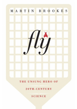Fly
