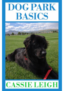 Dog Park Basics