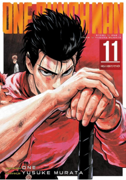 One-Punch Man 11