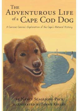 The Adventurous Life of a Cape Cod Dog