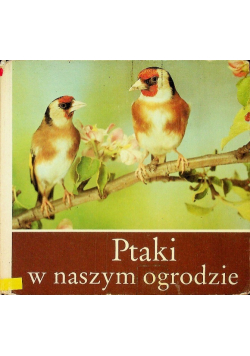 Ptaki w naszym ogrodzie