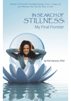 In Search of Stillness