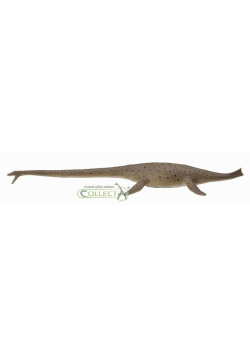 Dinozaur Thalassomedon