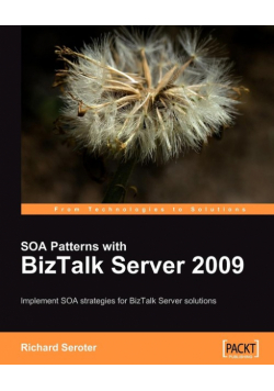 SOA Patterns with BizTalk Server 2009