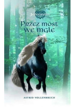 Jednorożec 1. Przez most we mgle