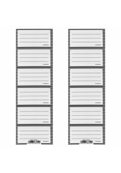Naklejki na zeszyt Ramka B&W (25szt)