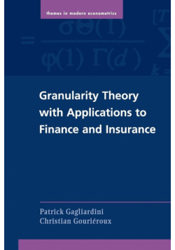 Granularity Theory with Applications to Finance and Insurance