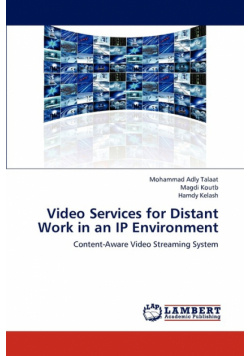 Video Services for Distant Work in an IP Environment