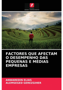 Factores Que Afectam O Desempenho Das Pequenas E Médias Empresas