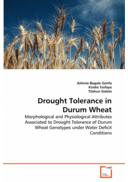 Drought Tolerance in Durum Wheat