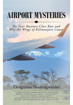 Airport Mysteries