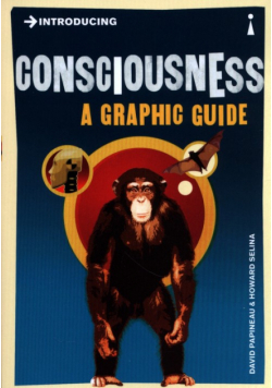 Introducing Consciousness