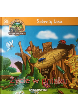 Życie w pniaku