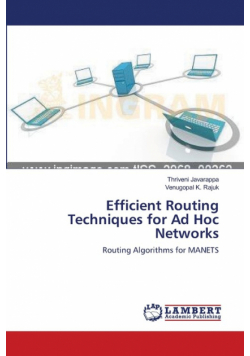 Efficient Routing Techniques for Ad Hoc Networks