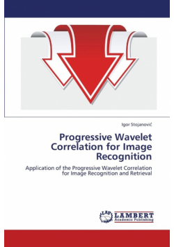 Progressive Wavelet Correlation for Image Recognition
