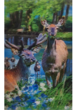 Mini kartka 3D - Jeleń