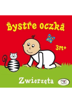 Bystre oczka. Zwierzęta