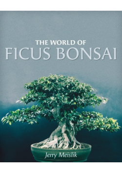 The World of Ficus Bonsai