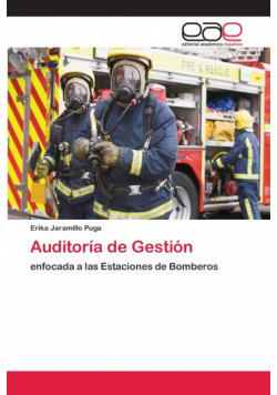 Auditoría de Gestión