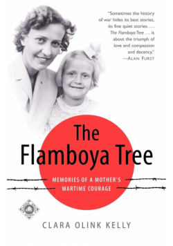 The Flamboya Tree