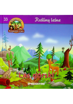 Rośliny leśne Las górski